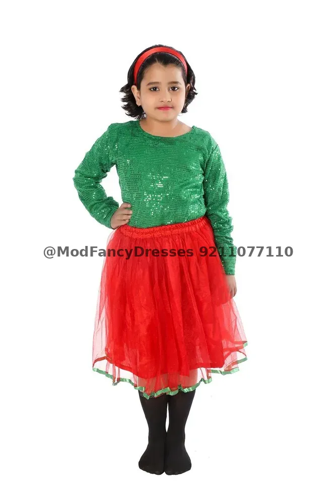 Western Dance Fancy Dress Skirt