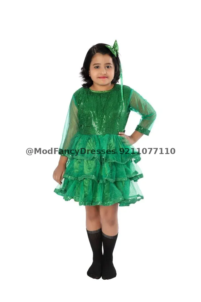 Western Frock Dance Fancy Dress