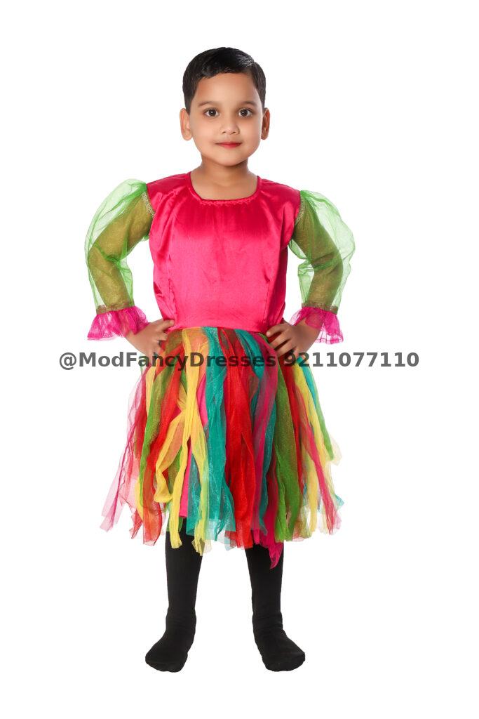 Western Style Frock Fancy Dress Costume